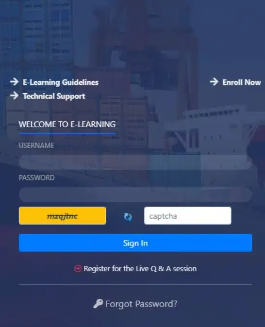 How to Do E-Learning on DG Shipping